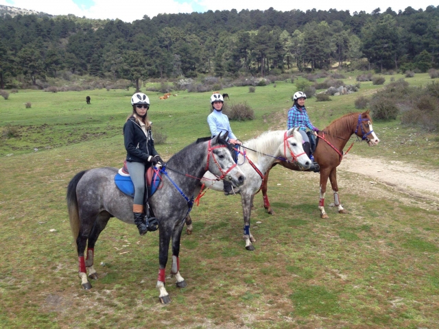 Jinetes y caballos